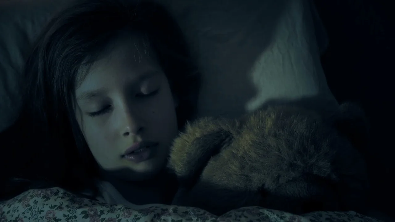 Pillowise — the custom-fit pillow, from measurement to a night's sleep